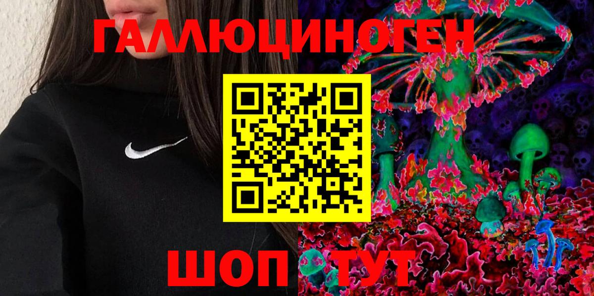 Зерноград  Галлюциногенные грибы Psilocybine cubensis  Вход с VPN 